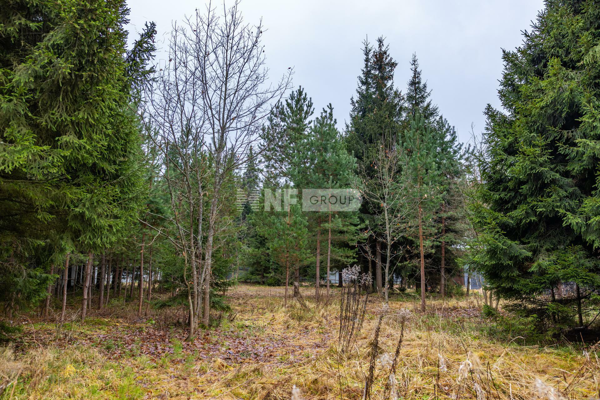 Участок 26 сот.