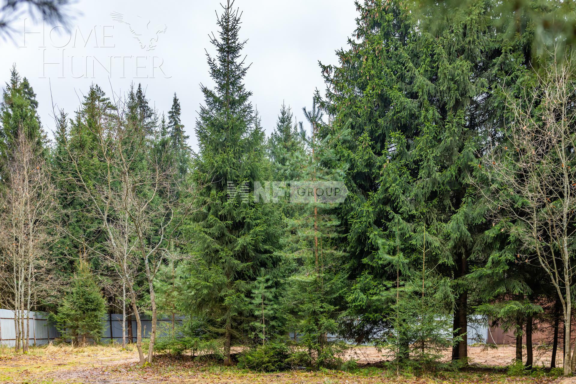 Участок 26 сот.