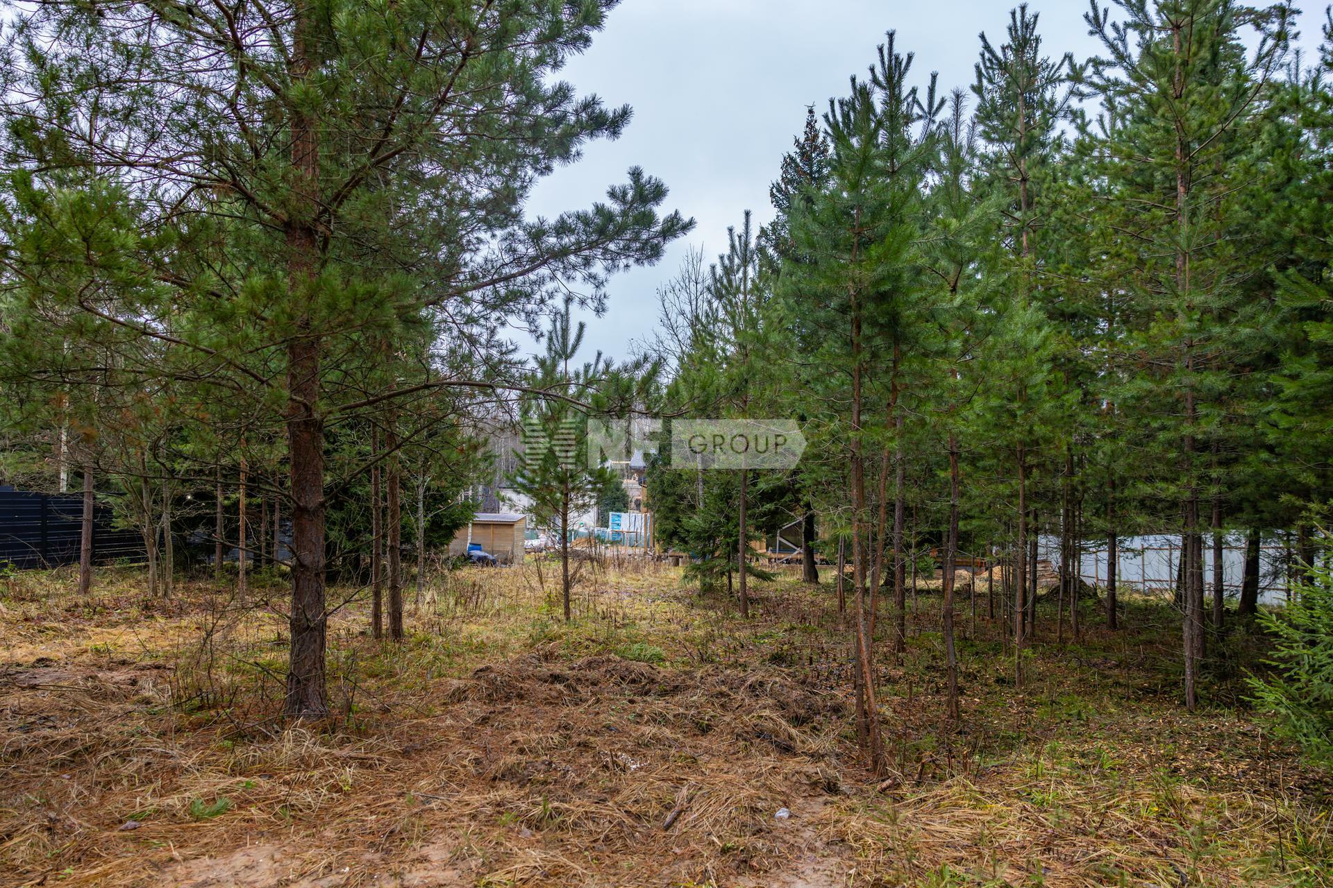 Участок 26 сот.