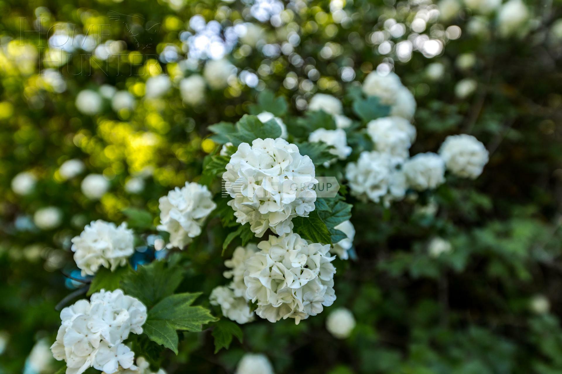 Участок 23 сот. в охраняемом поселке