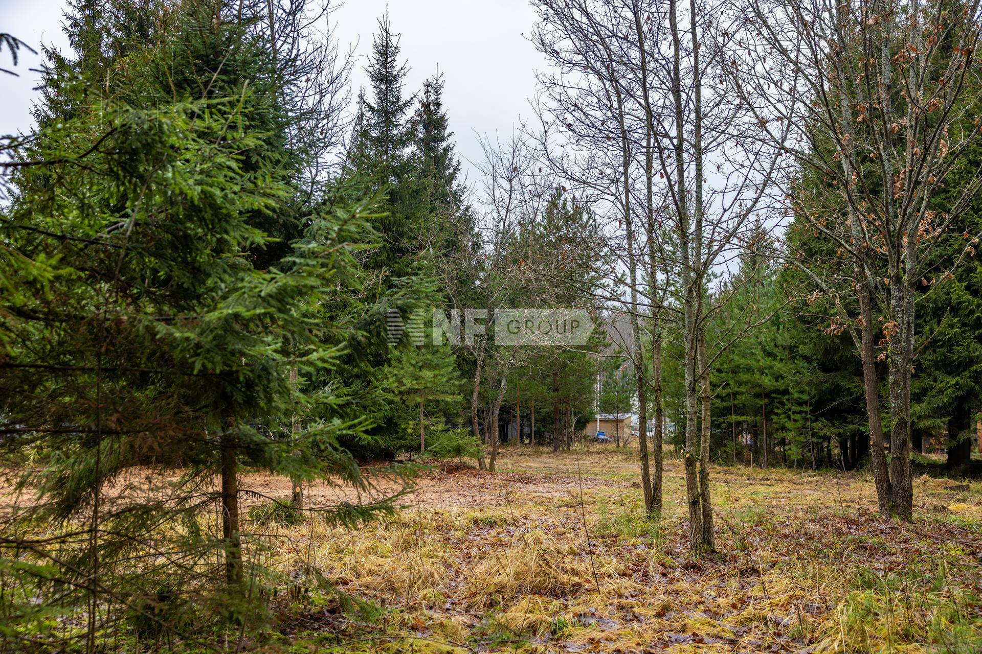 Участок 13 сот.