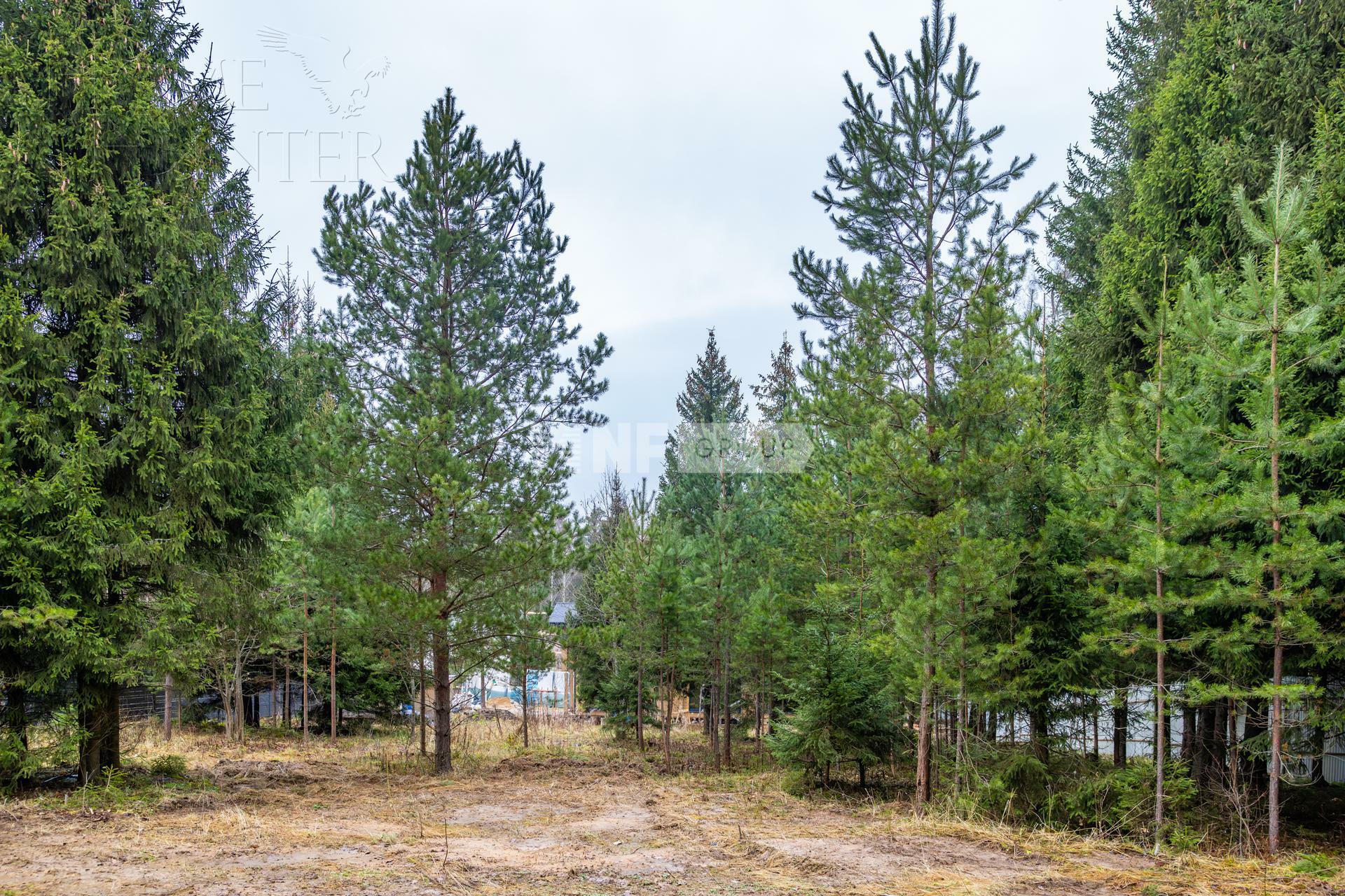 Участок 13 сот.