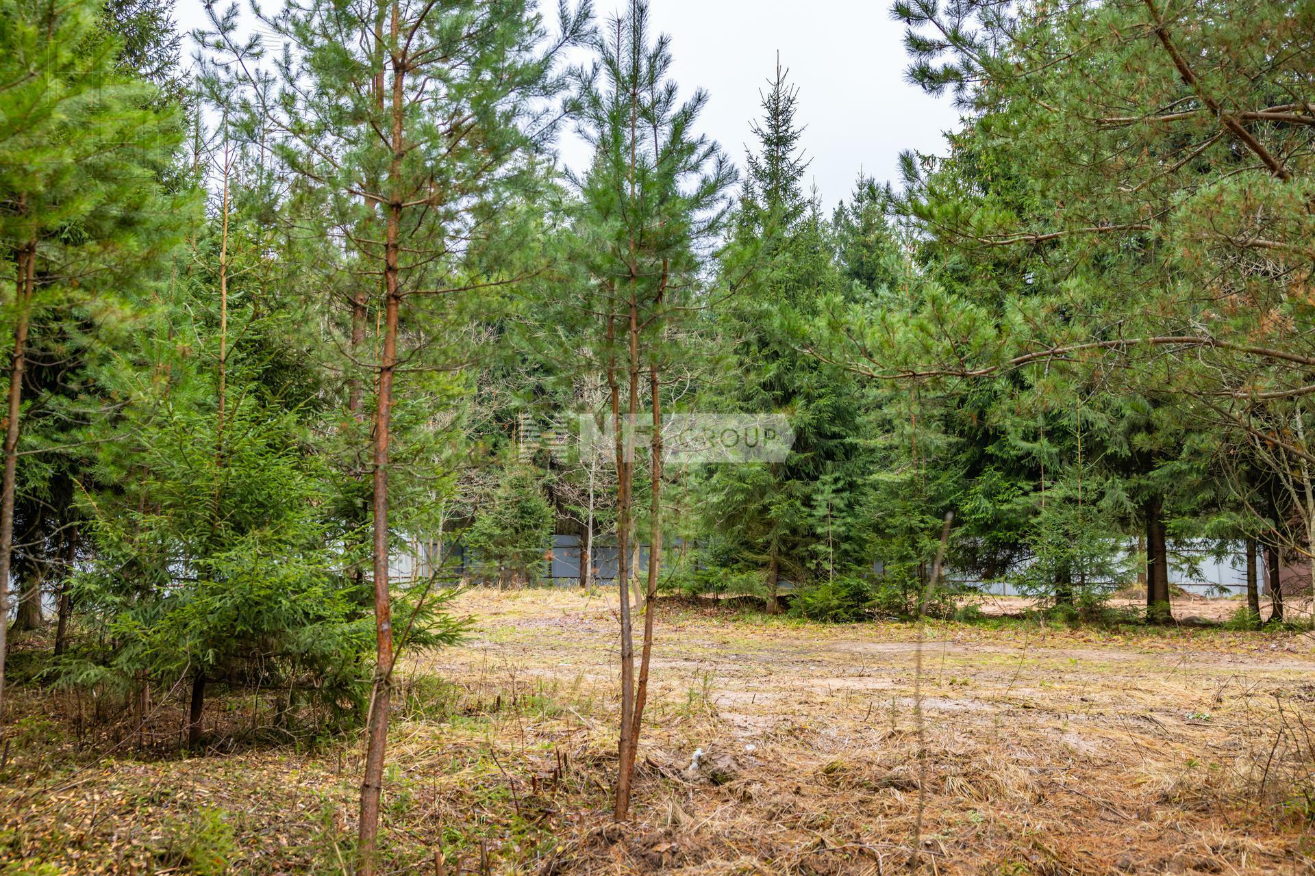 Участок 26 сот.