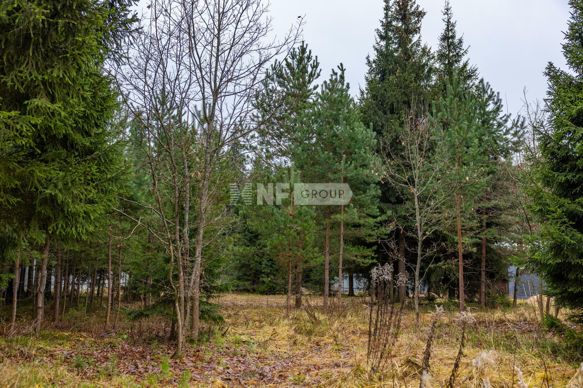 Участок 26 сот.