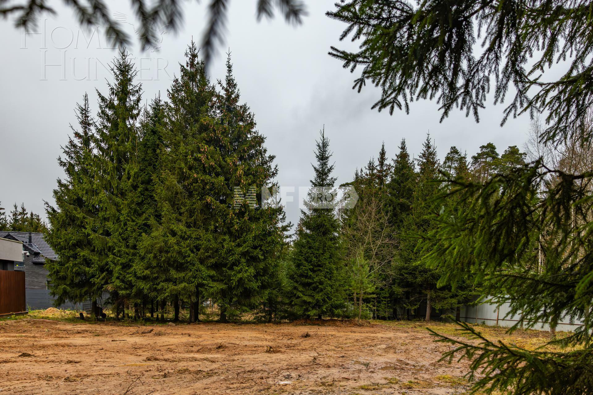 Участок 26 сот.