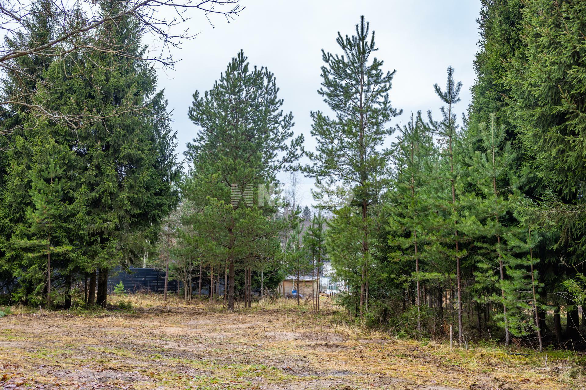 Участок 26 сот.