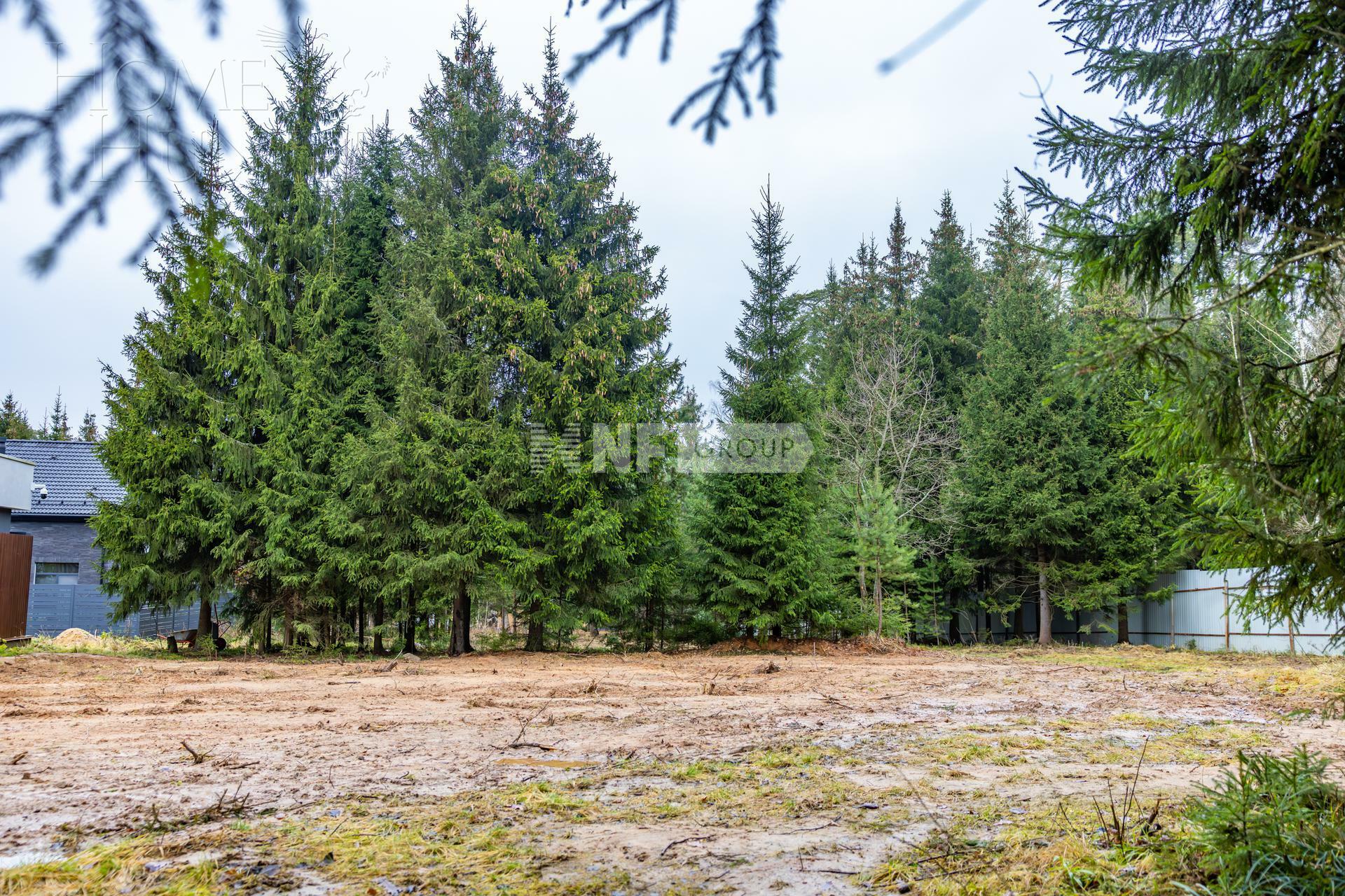 Участок 13 сот.