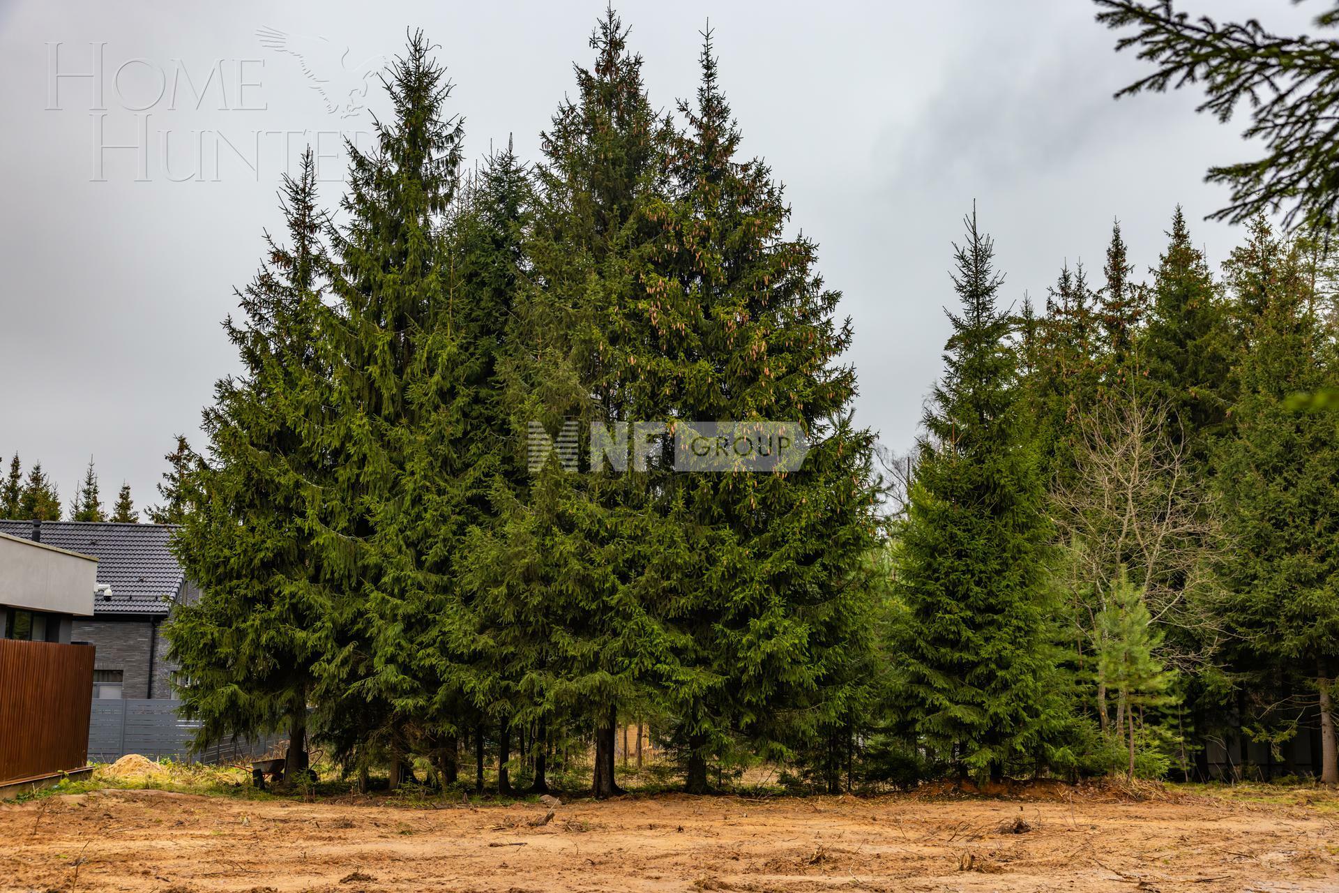 Участок 13 сот.