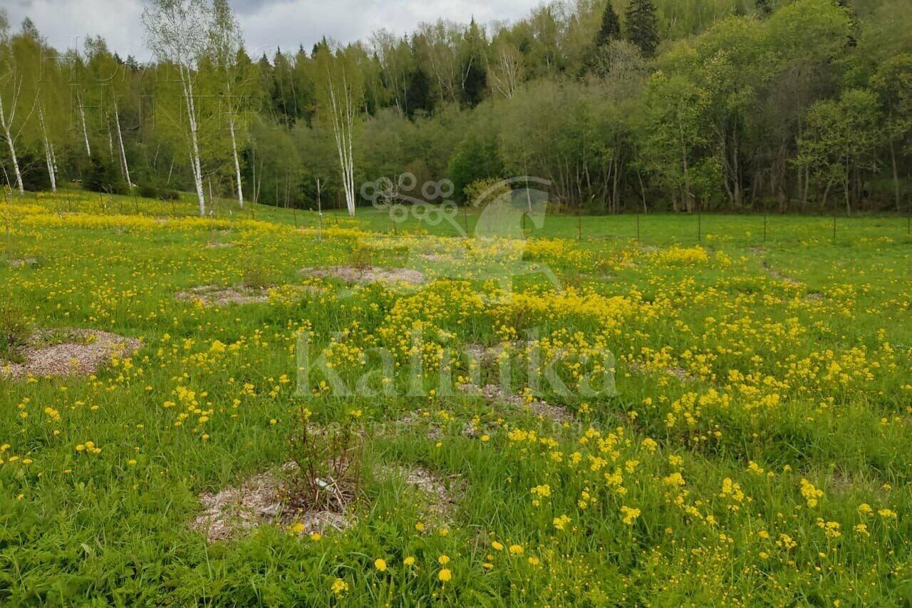 Участок 84.83 сот. в охраняемом поселке