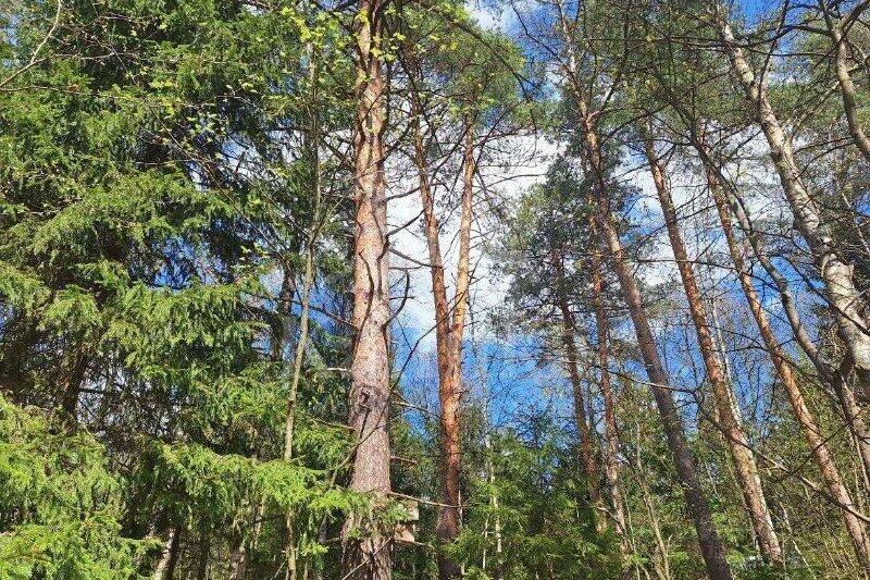 Участок 16.02 сот. в охраняемом поселке