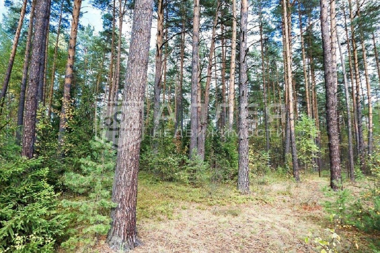 Участок 192 сот. в охраняемом поселке