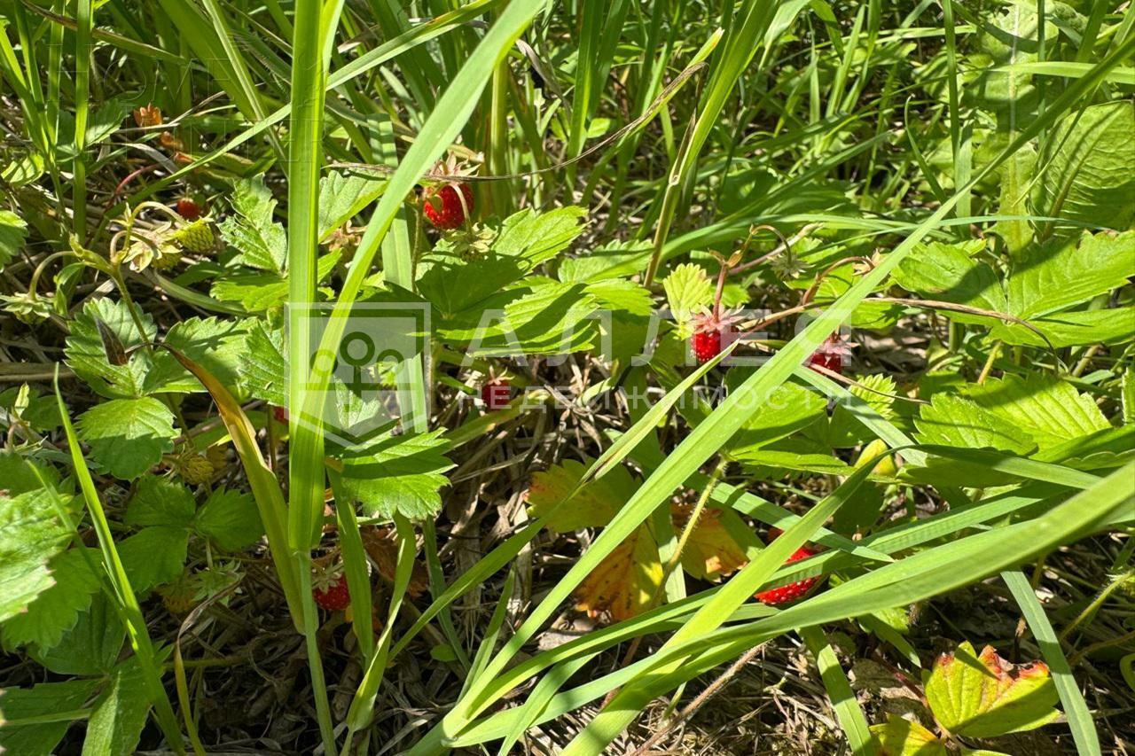 Участок 192 сот. в охраняемом поселке