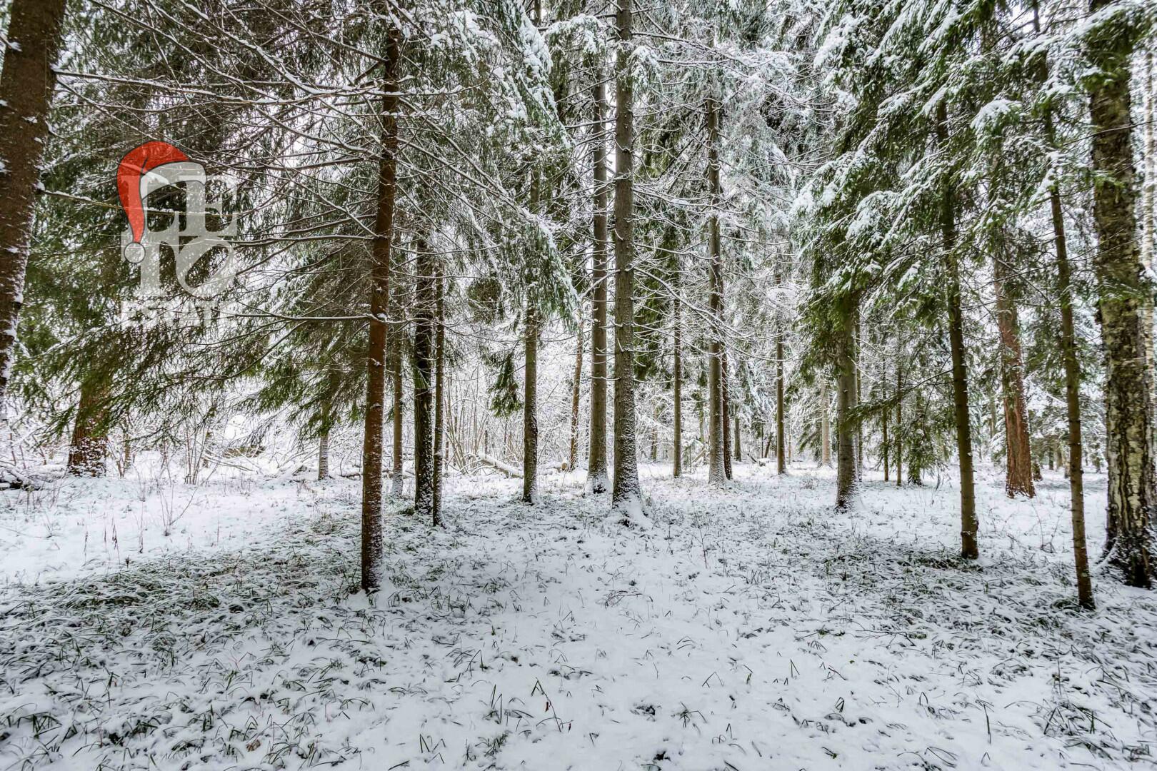 Участок 50 сот. в охраняемом поселке