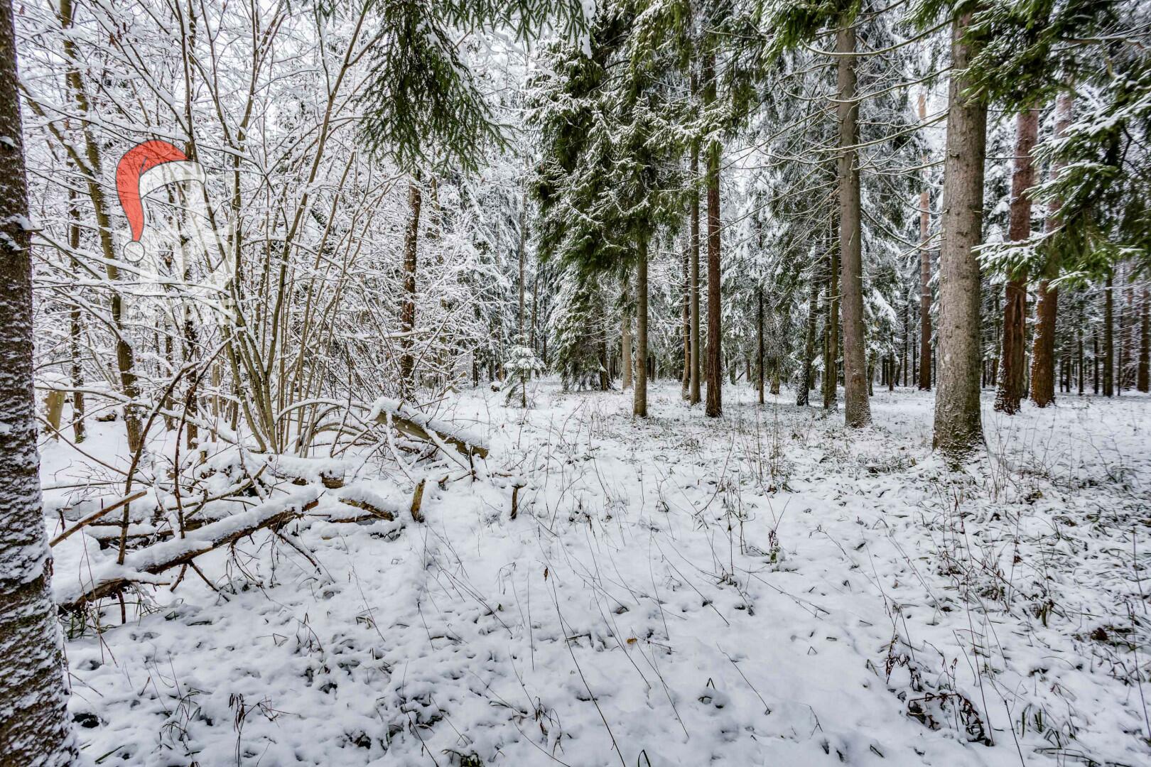 Участок 50 сот. в охраняемом поселке