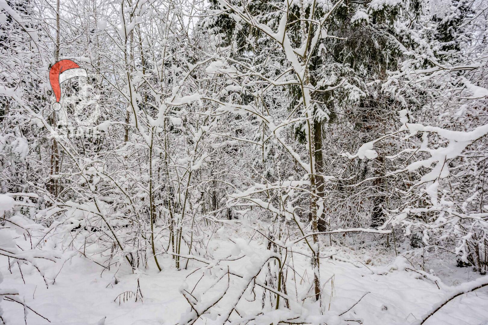 Участок 50 сот. в охраняемом поселке