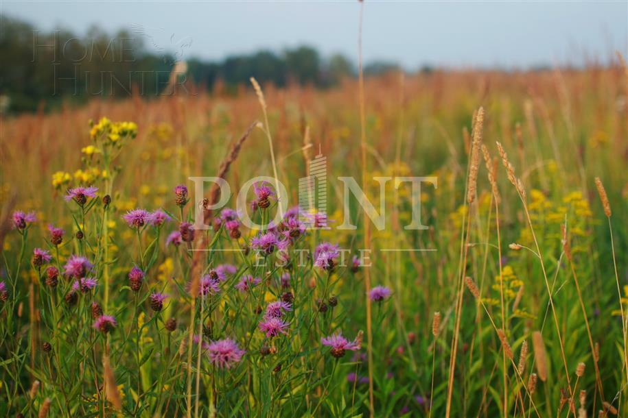 Участок 29.5 сот.