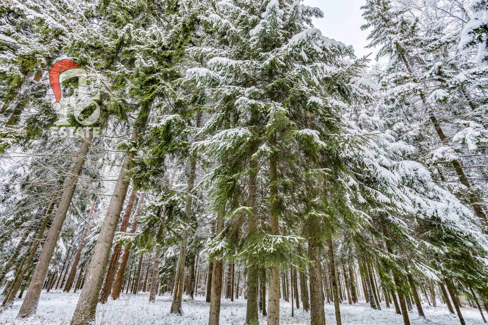 Участок 50 сот. в охраняемом поселке