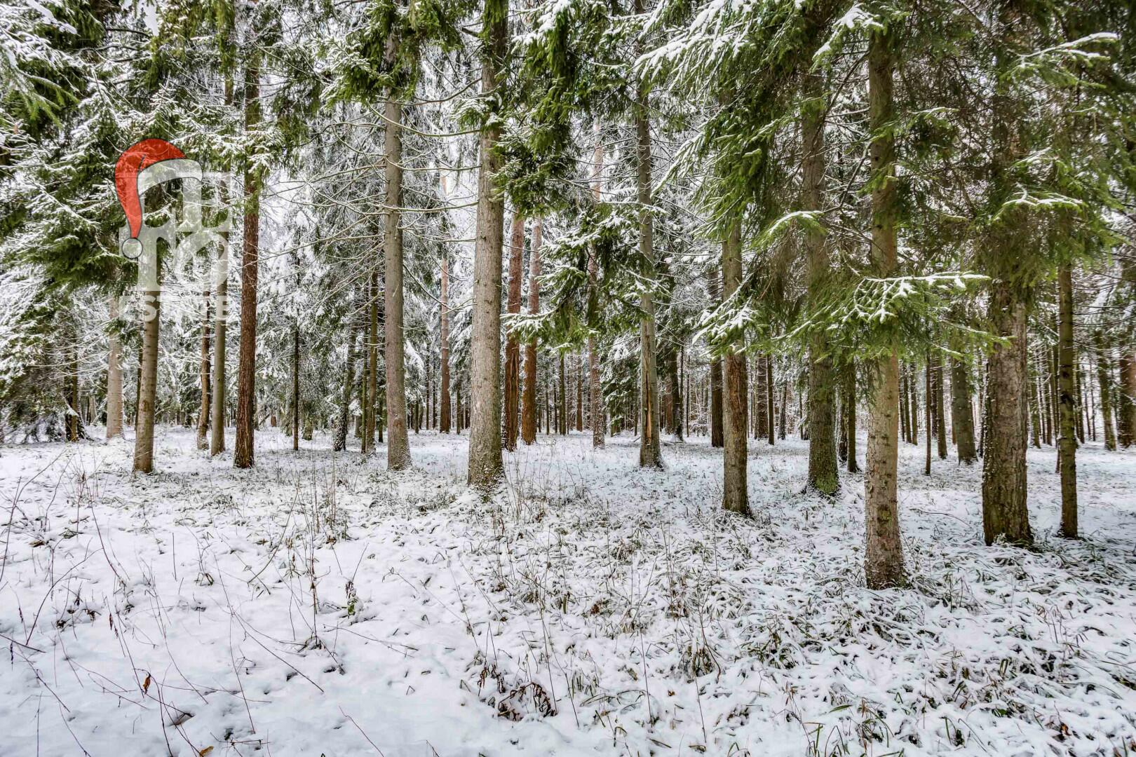 Участок 50 сот. в охраняемом поселке