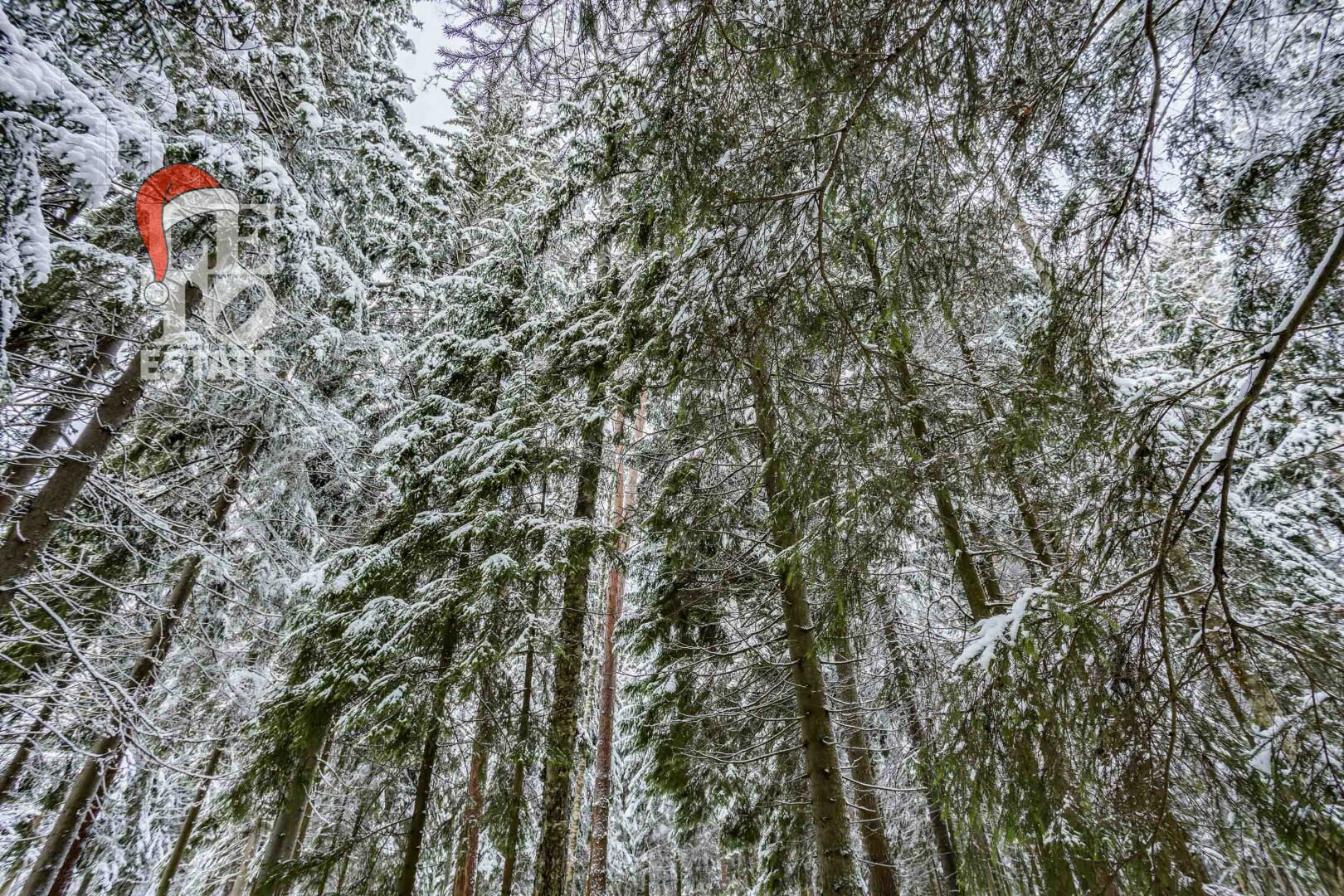 Участок 50 сот. в охраняемом поселке