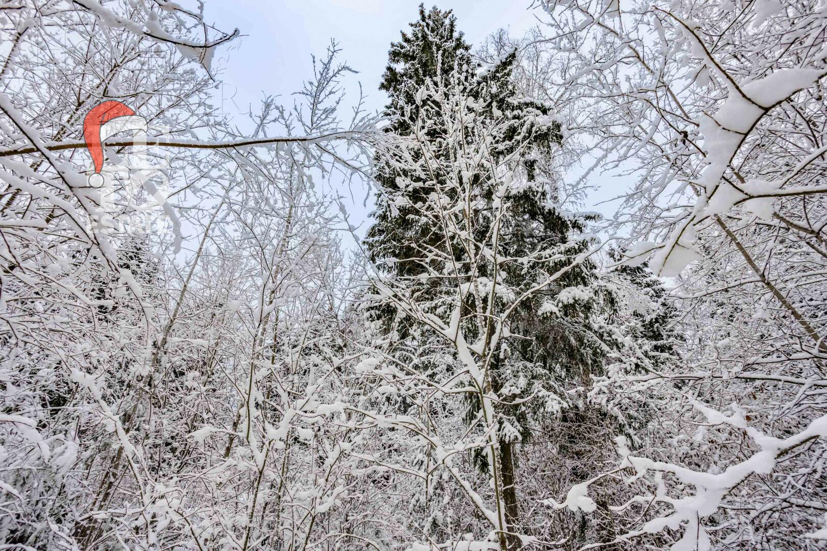 Участок 50 сот. в охраняемом поселке