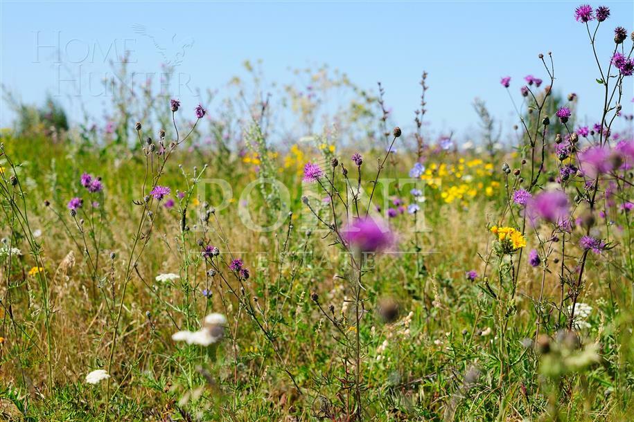 Участок 27 сот.