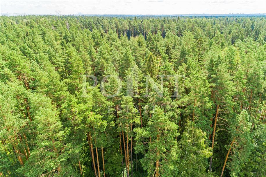 Участок 101 сот.