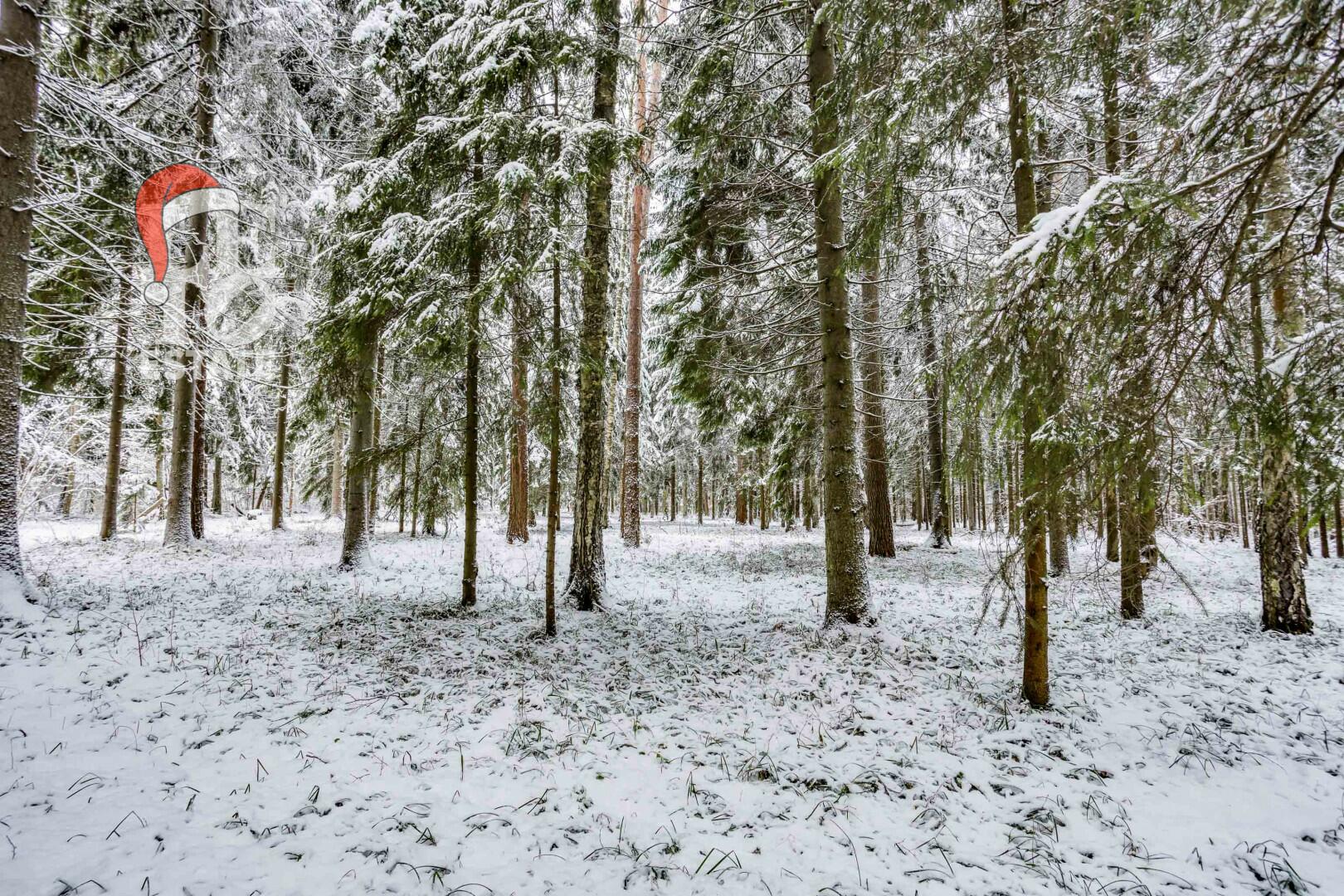 Участок 50 сот. в охраняемом поселке