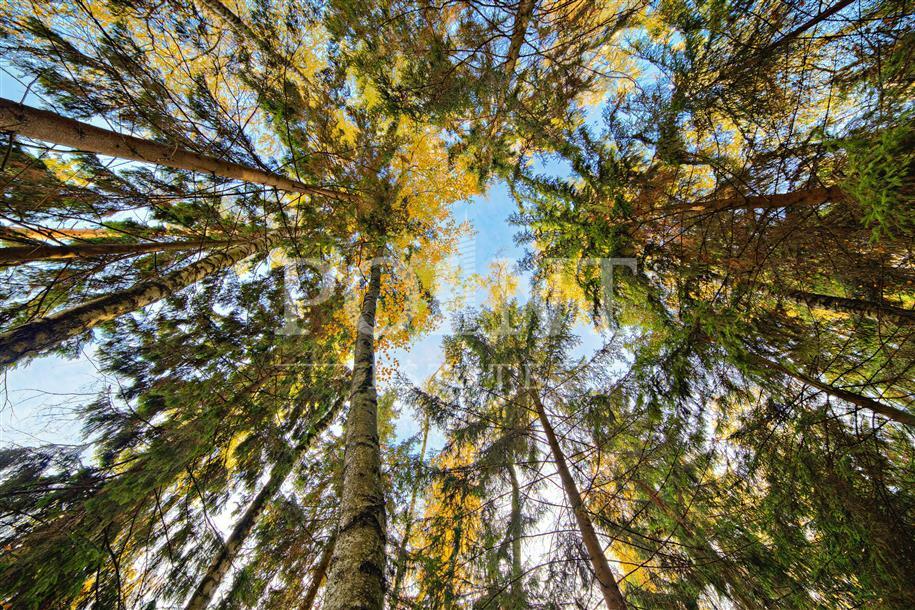 Участок 101 сот.