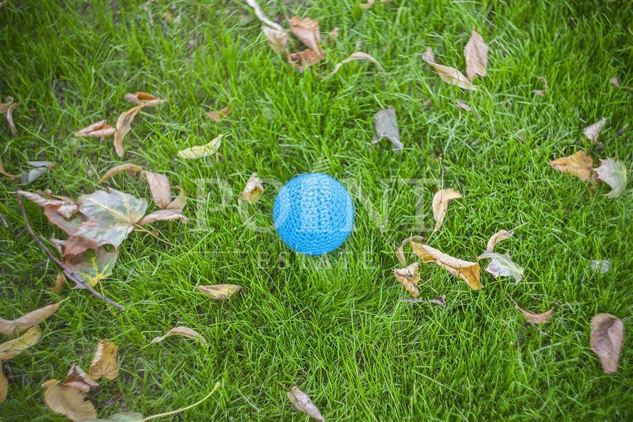 Участок 19 сот.