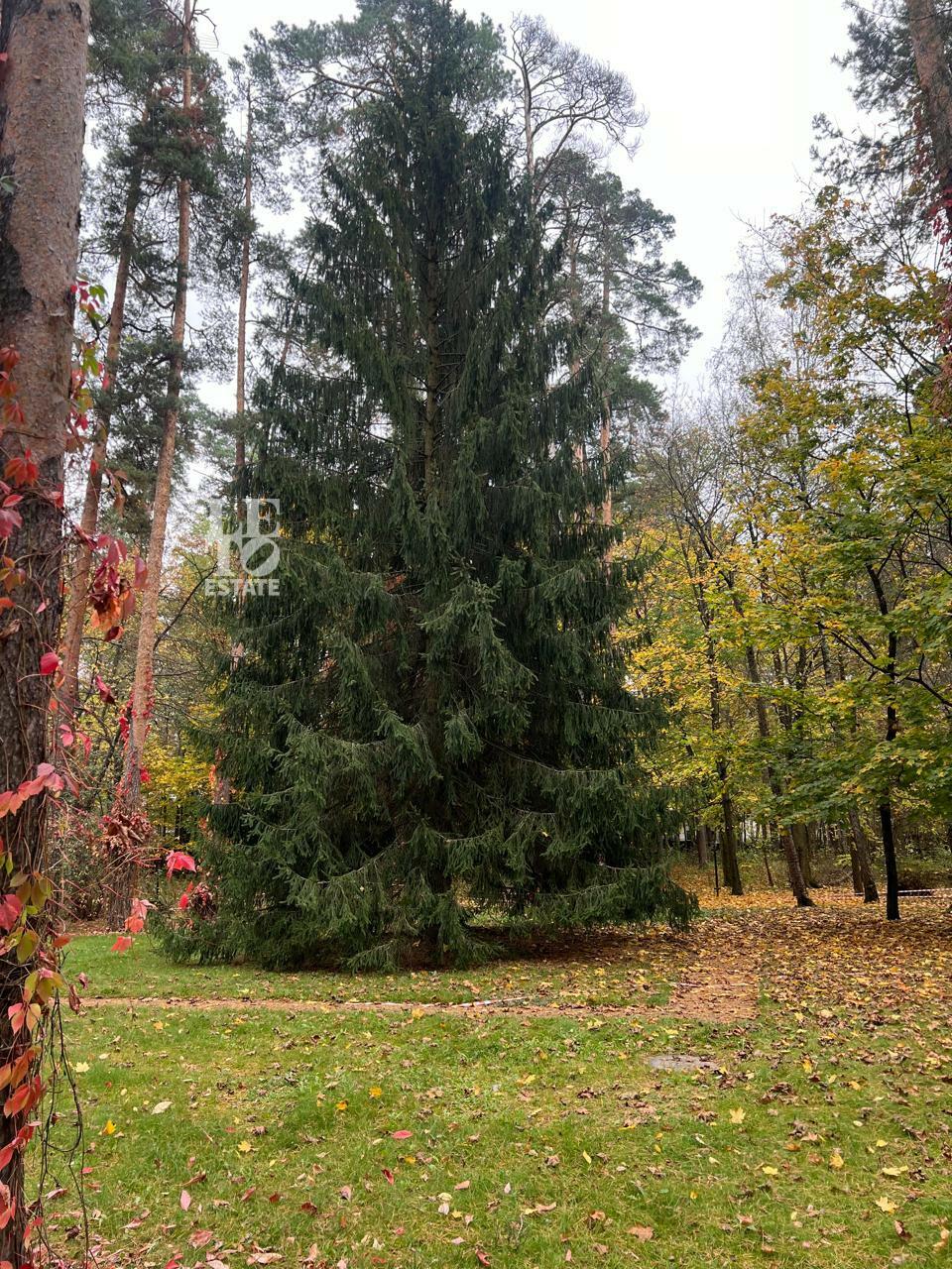 Участок 96.6 сот. в охраняемом поселке