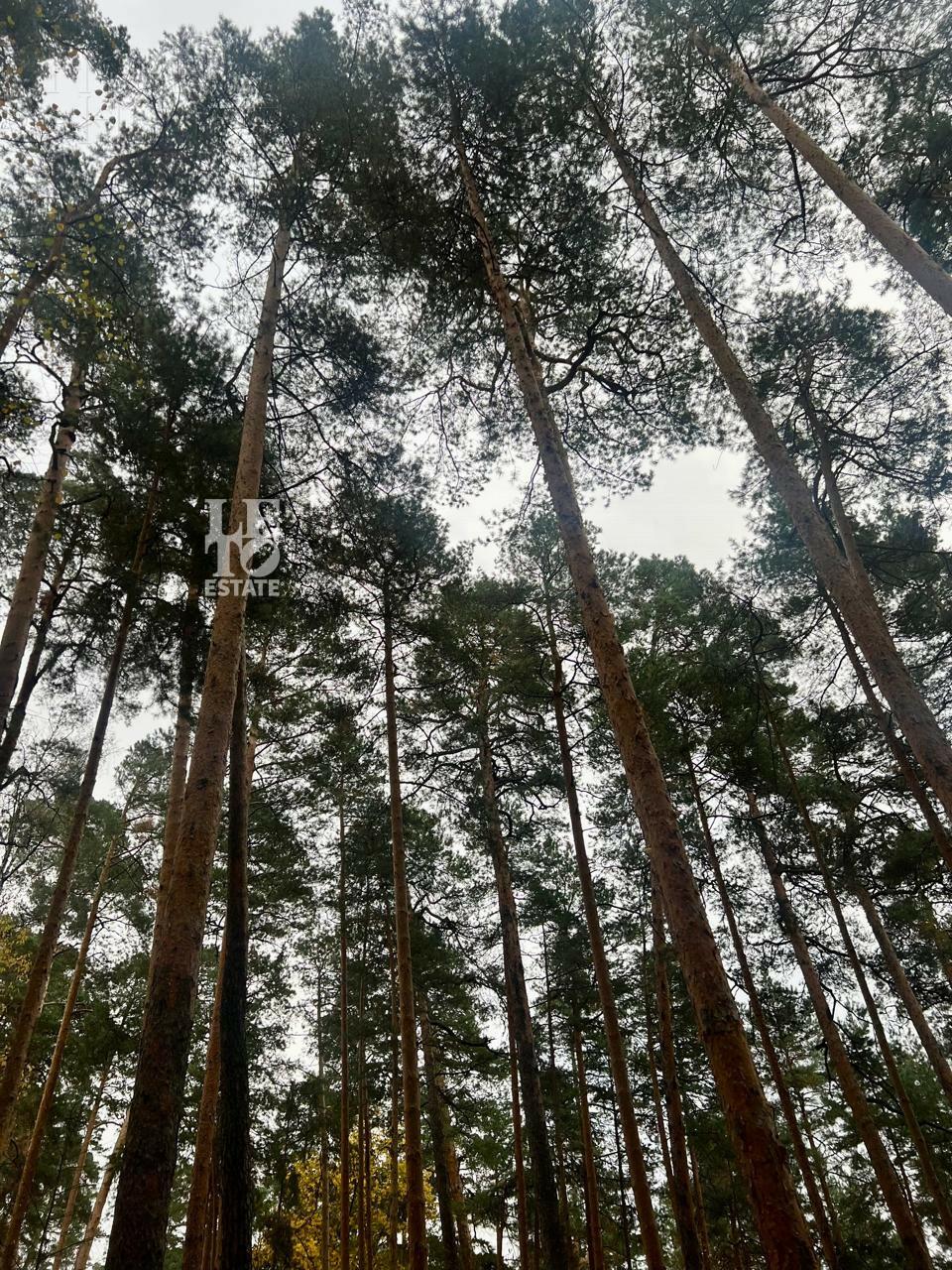 Участок 96.6 сот. в охраняемом поселке