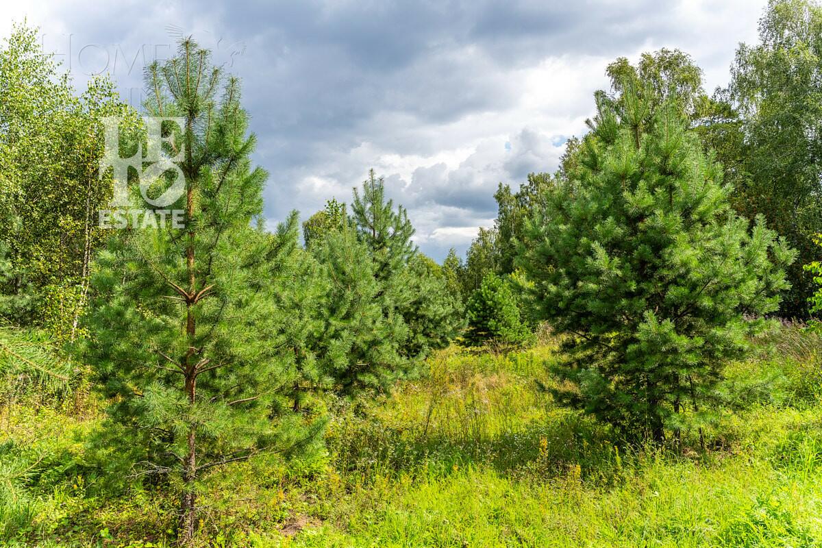 Участок 108.76 сот.