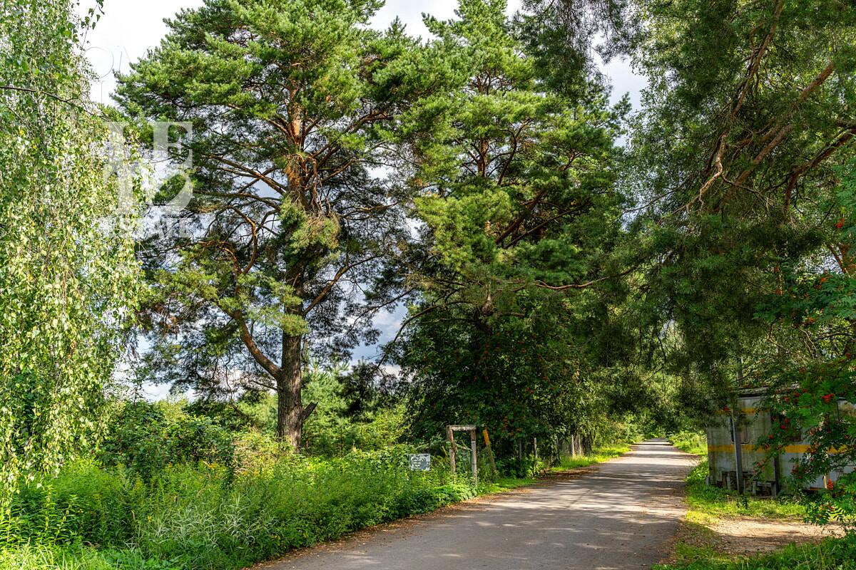 Участок 60.86 сот.