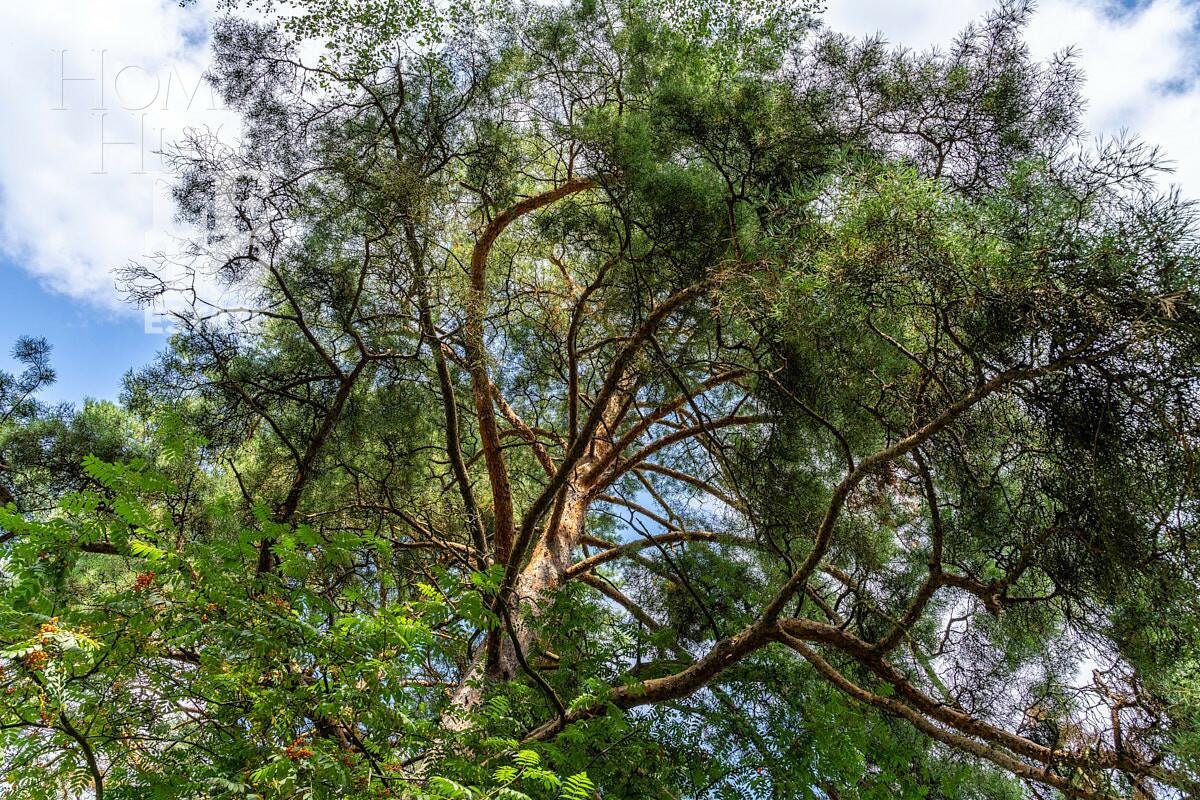 Участок 108.76 сот.