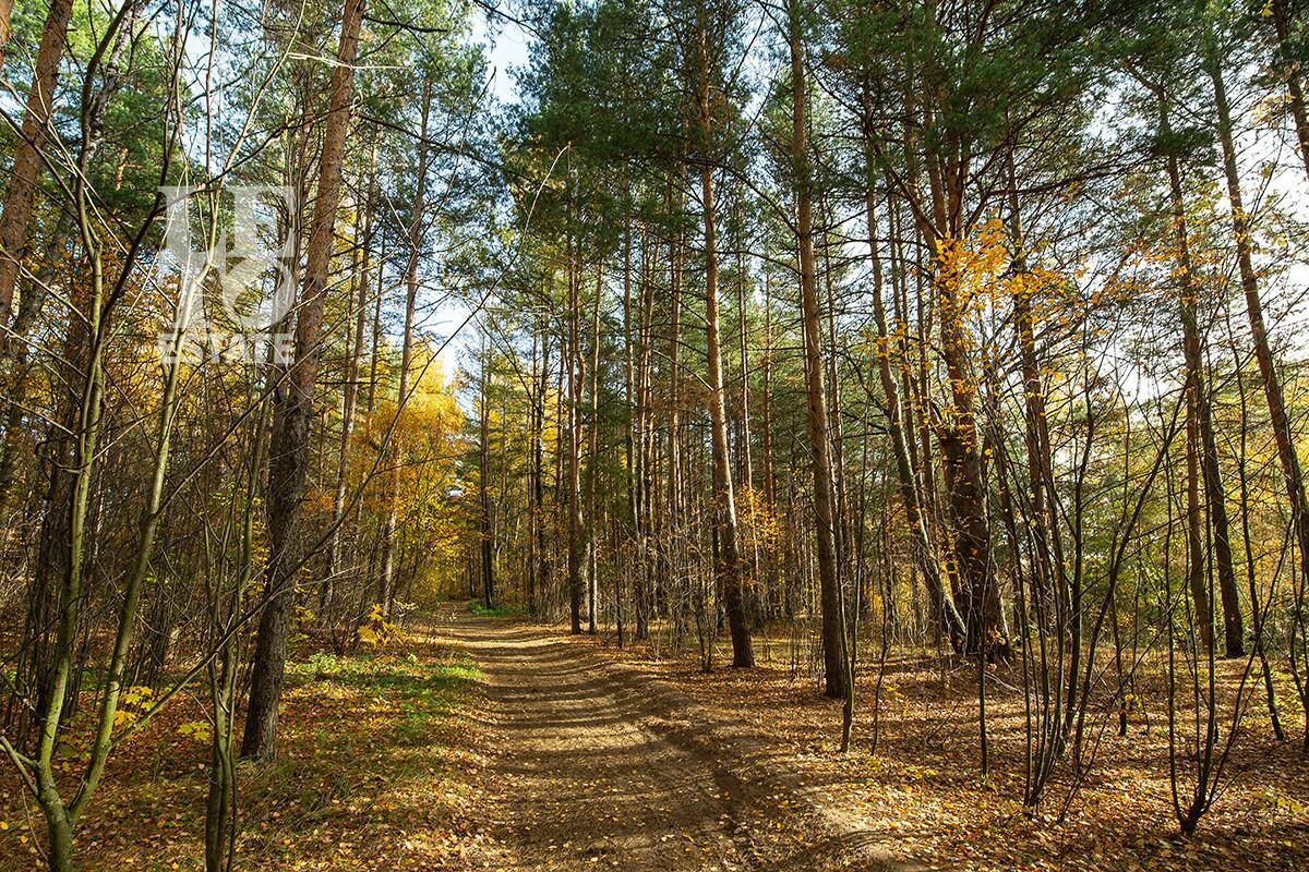 3-этажный коттедж 1 322 м² с отделкой