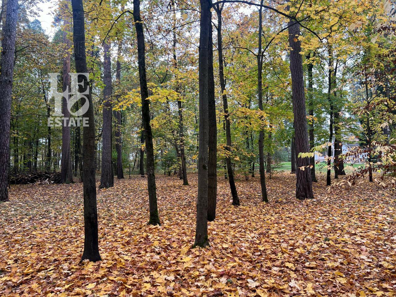 Участок 37.5 сот. в охраняемом поселке