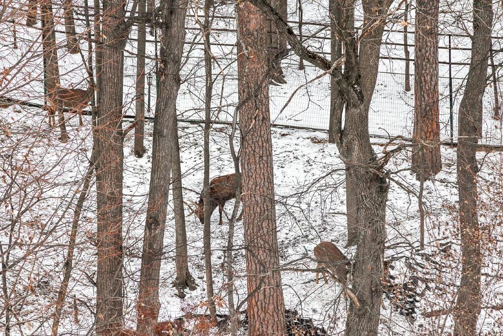 2-этажный таунхаус 356 м² с отделкой