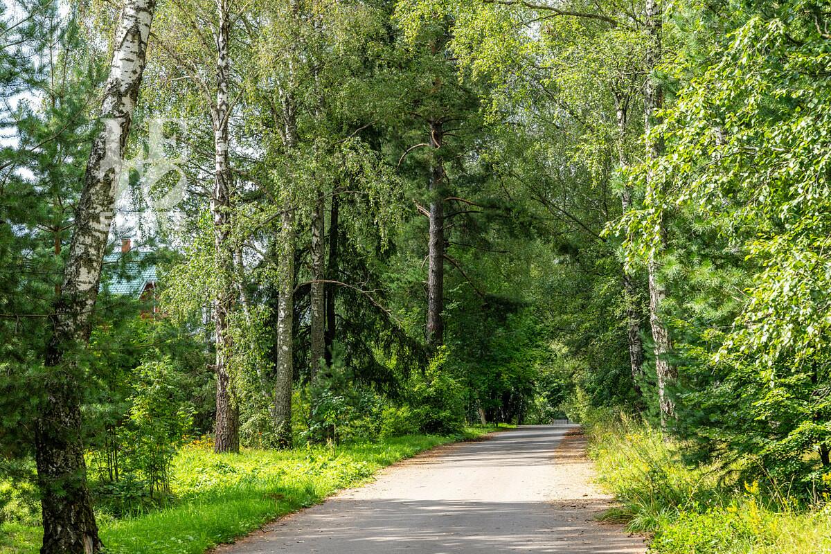 Участок 88.46 сот.