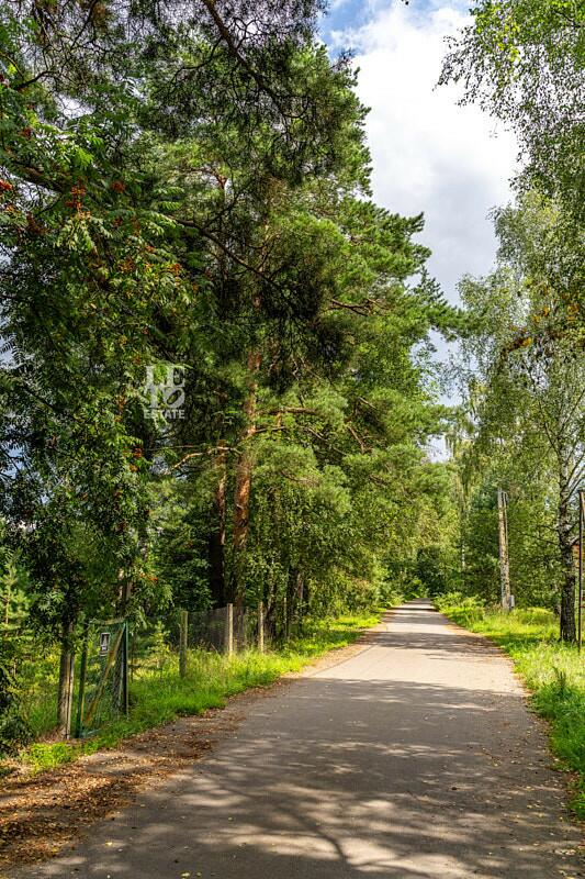 Участок 55.76 сот.