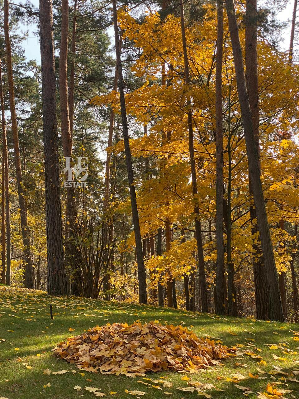 Участок 96.6 сот. в охраняемом поселке
