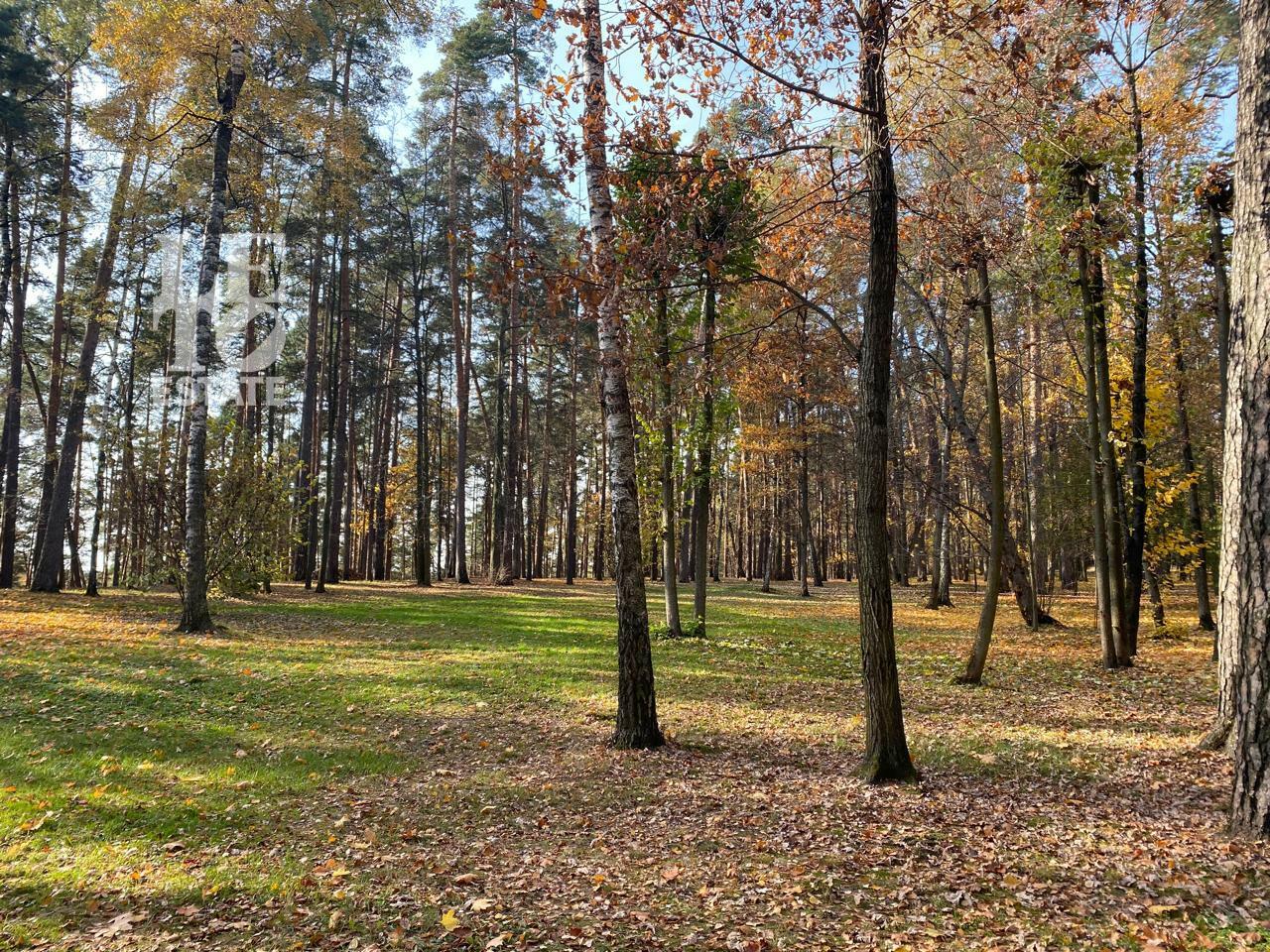 Участок 96.6 сот. в охраняемом поселке