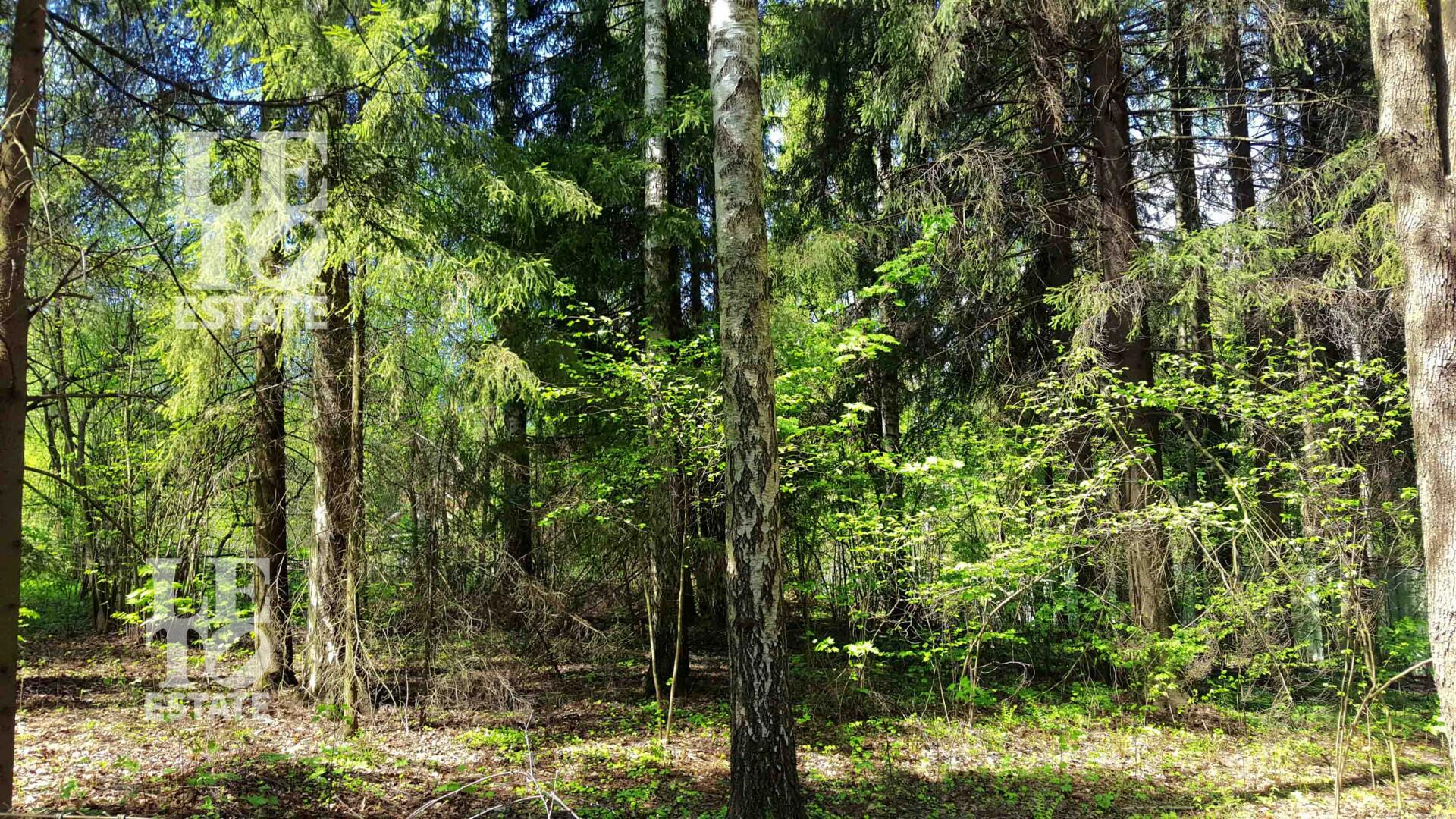 Участок 70.38 сот. в охраняемом поселке