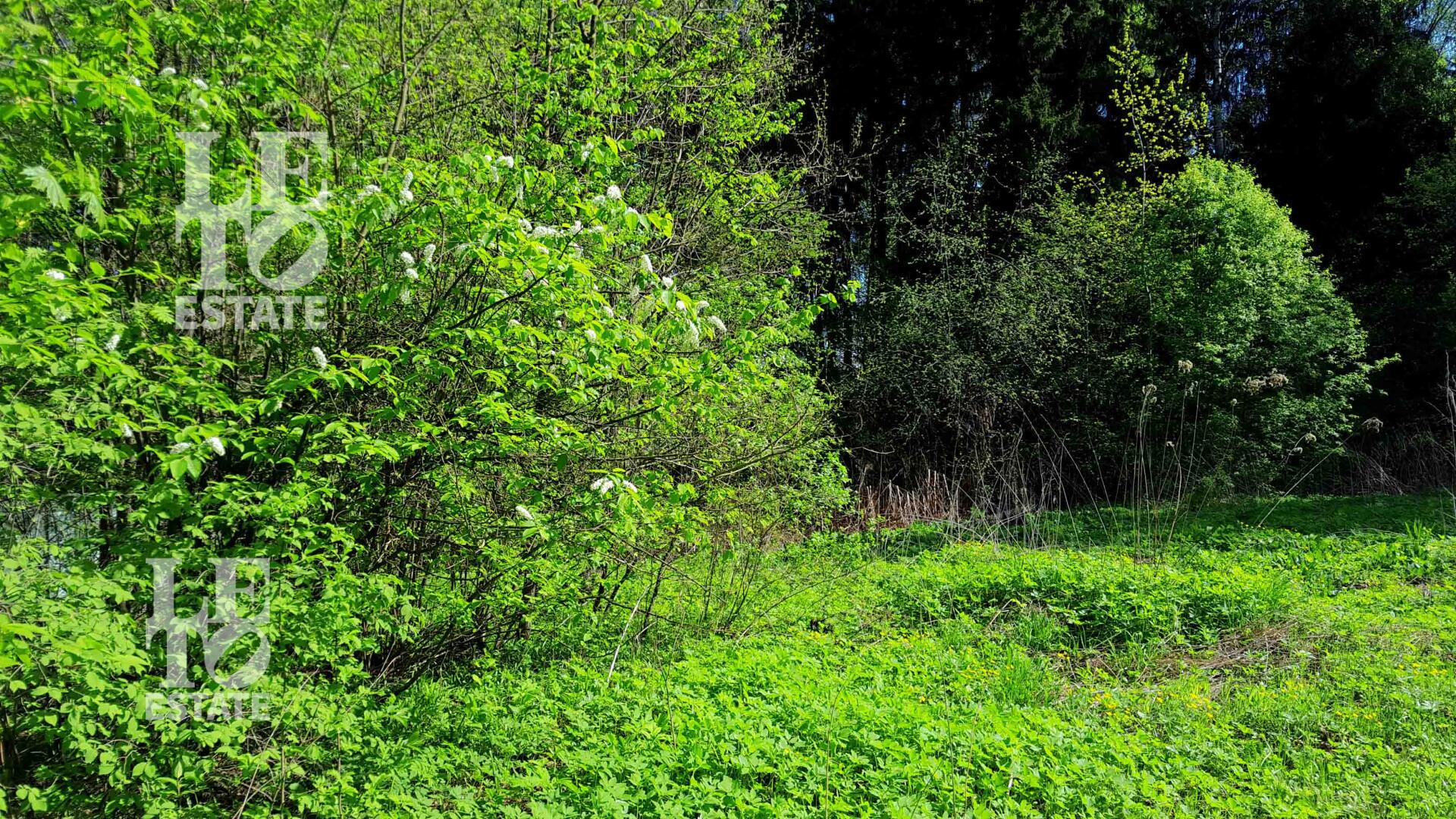 Участок 70.38 сот. в охраняемом поселке