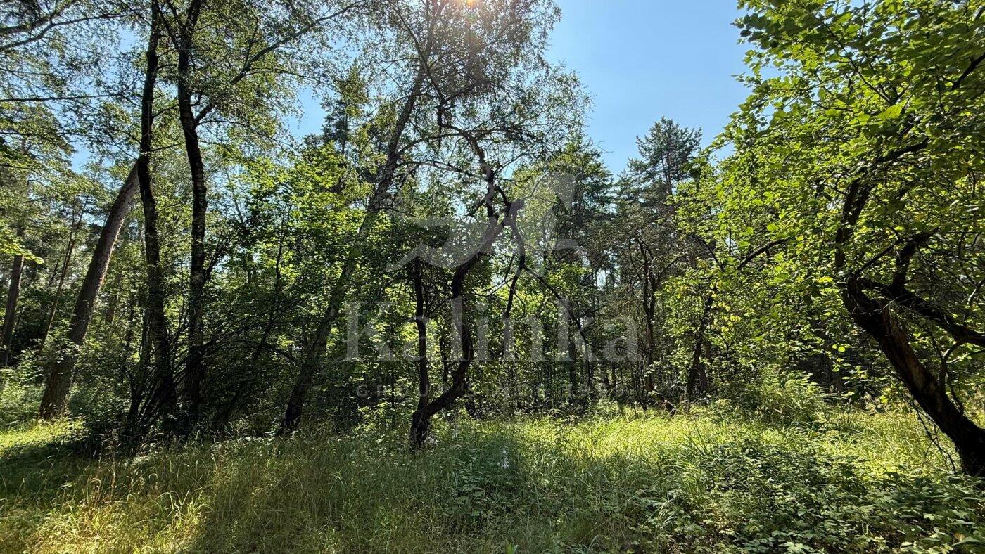 Участок 96 сот. в охраняемом поселке