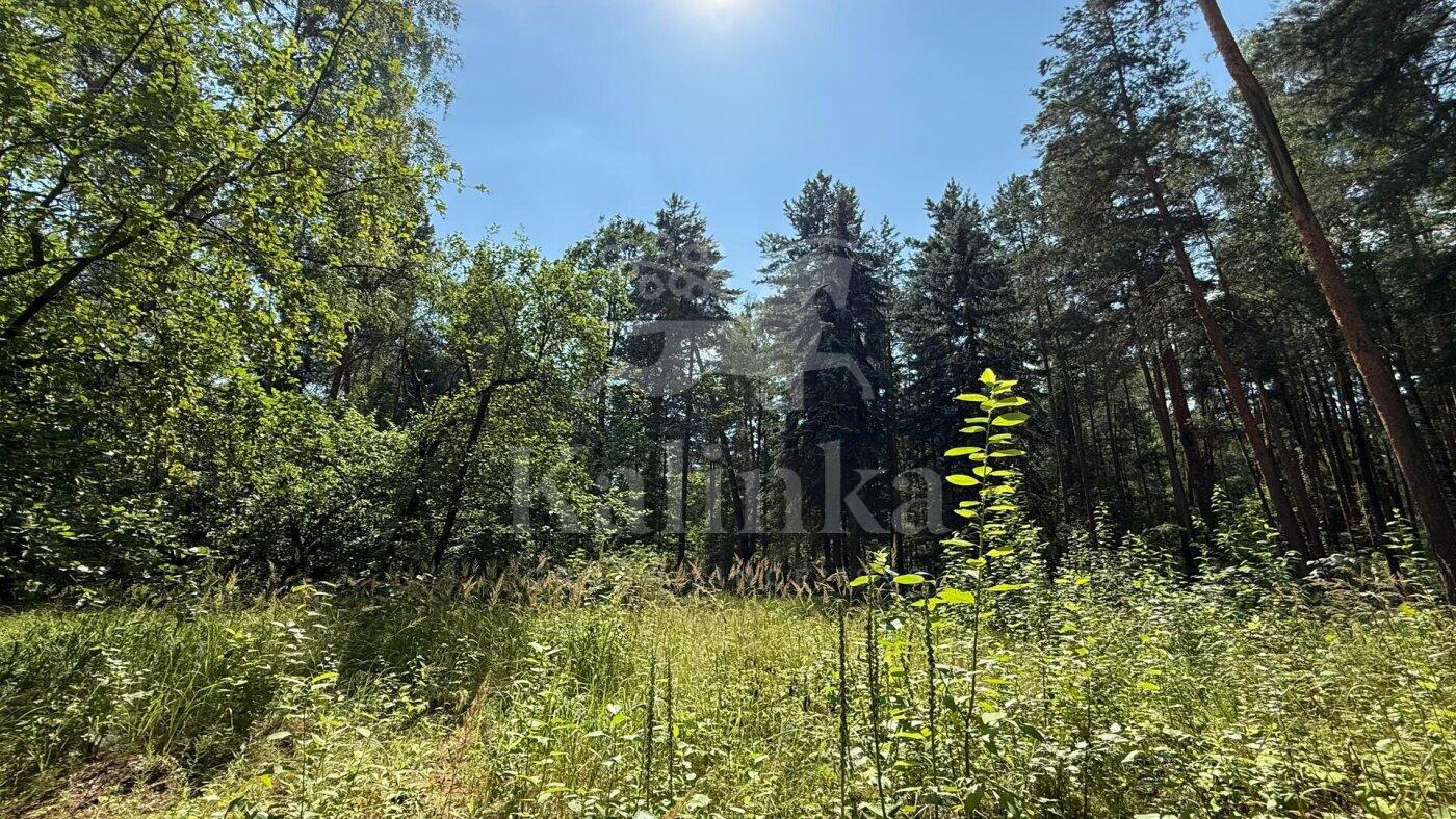 Участок 96 сот. в охраняемом поселке