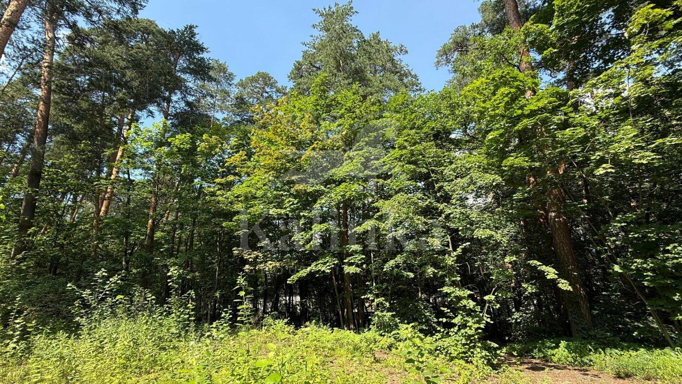 Участок 96 сот. в охраняемом поселке