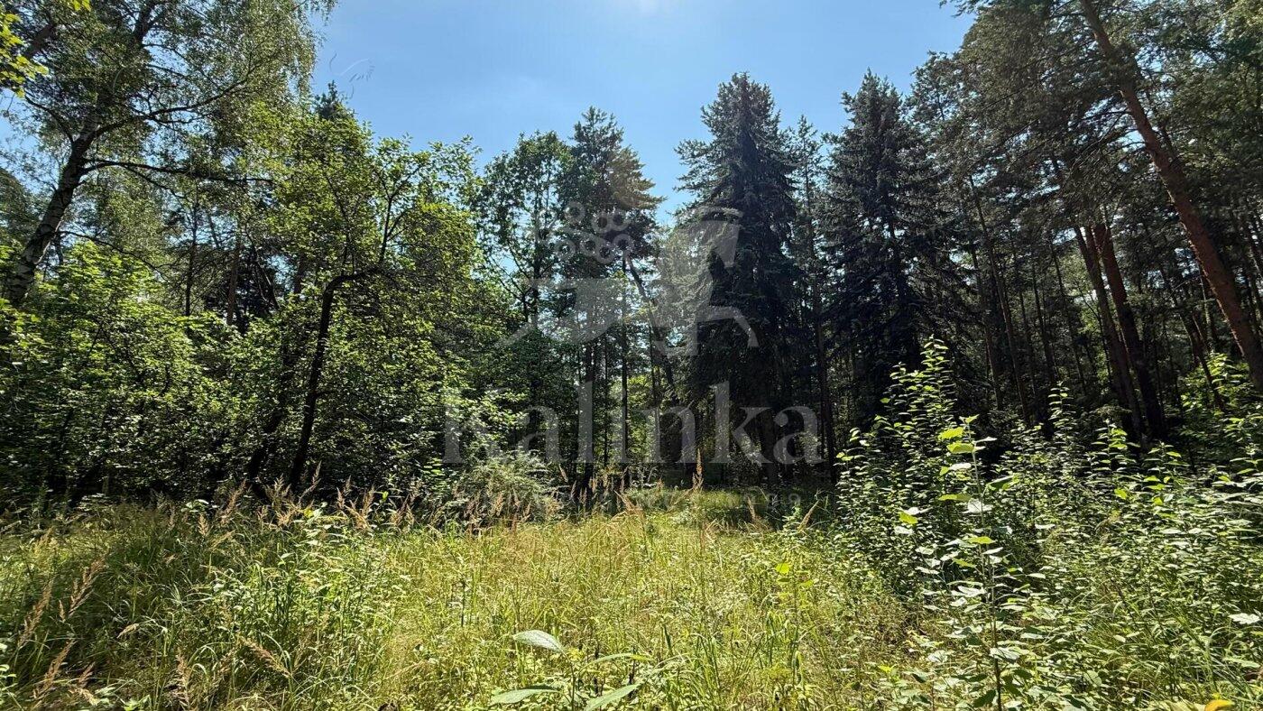 Участок 96 сот. в охраняемом поселке