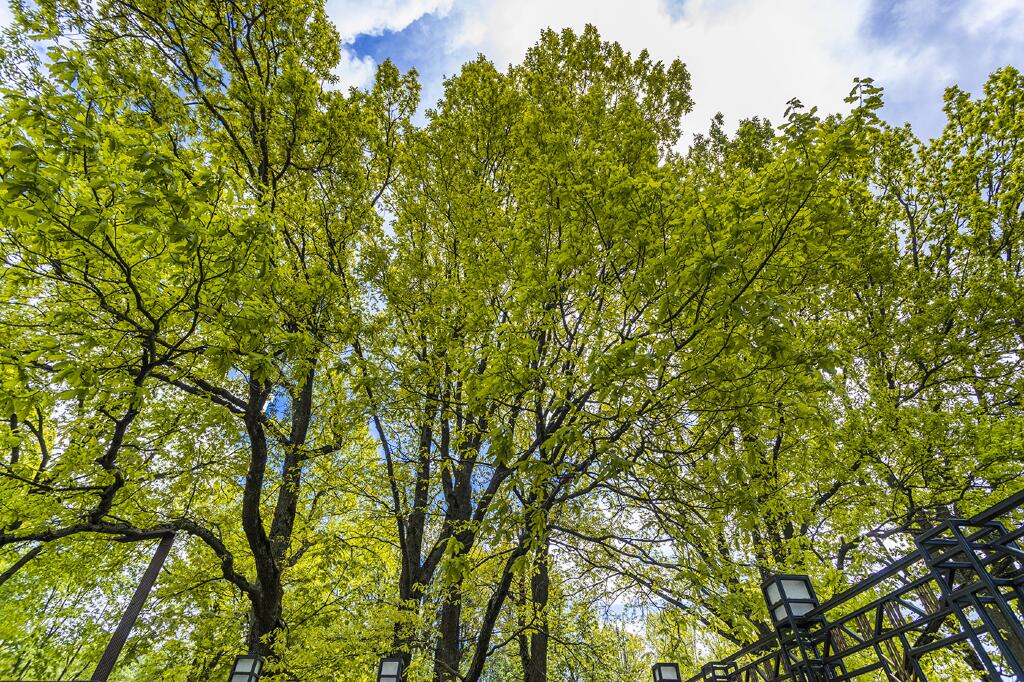 2-этажный коттедж 1 000 м² с отделкой