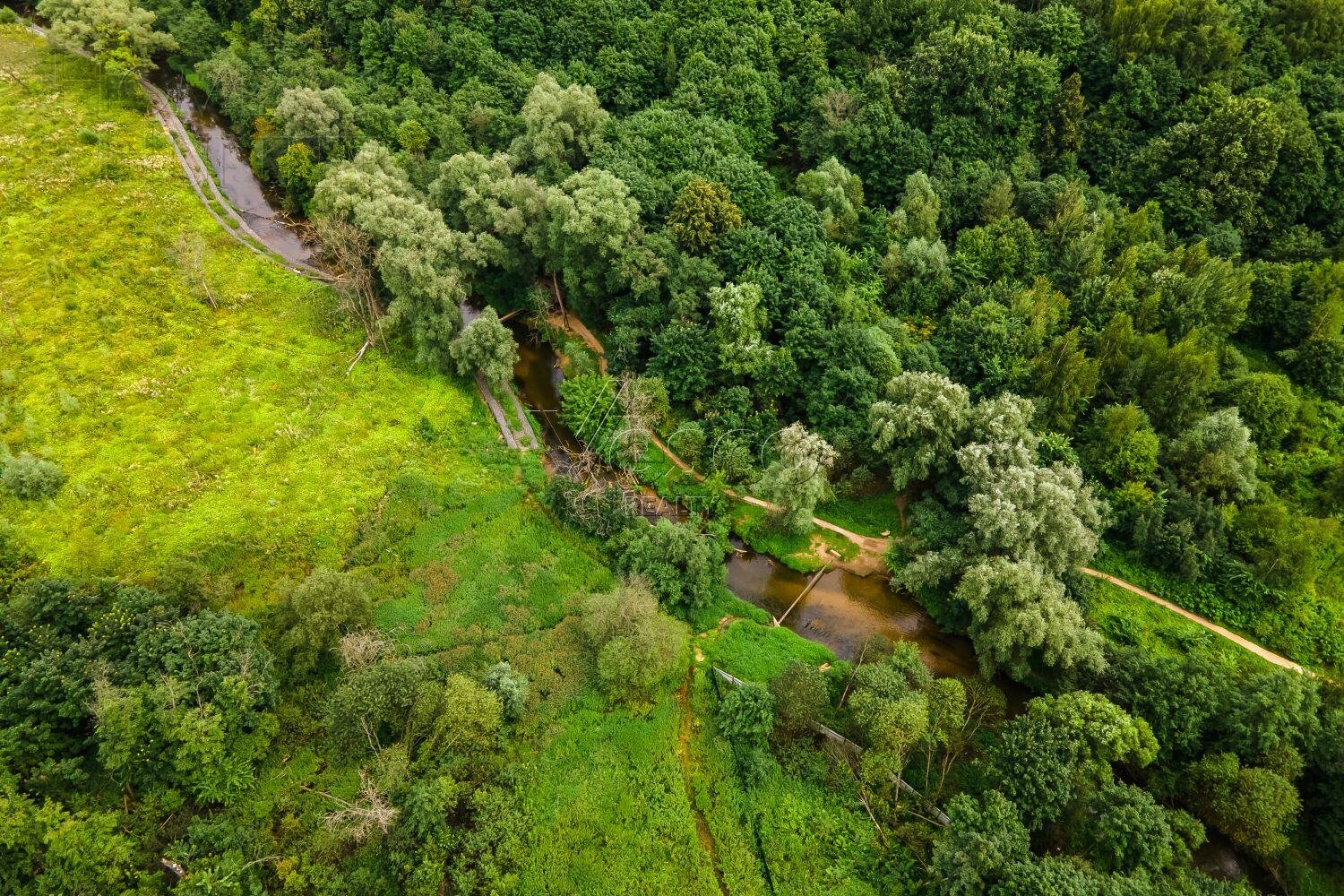 Участок 84 сот.