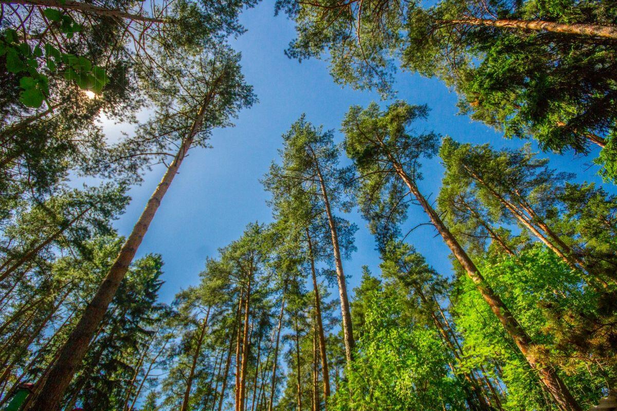 Участок 37.63 сот. в охраняемом поселке